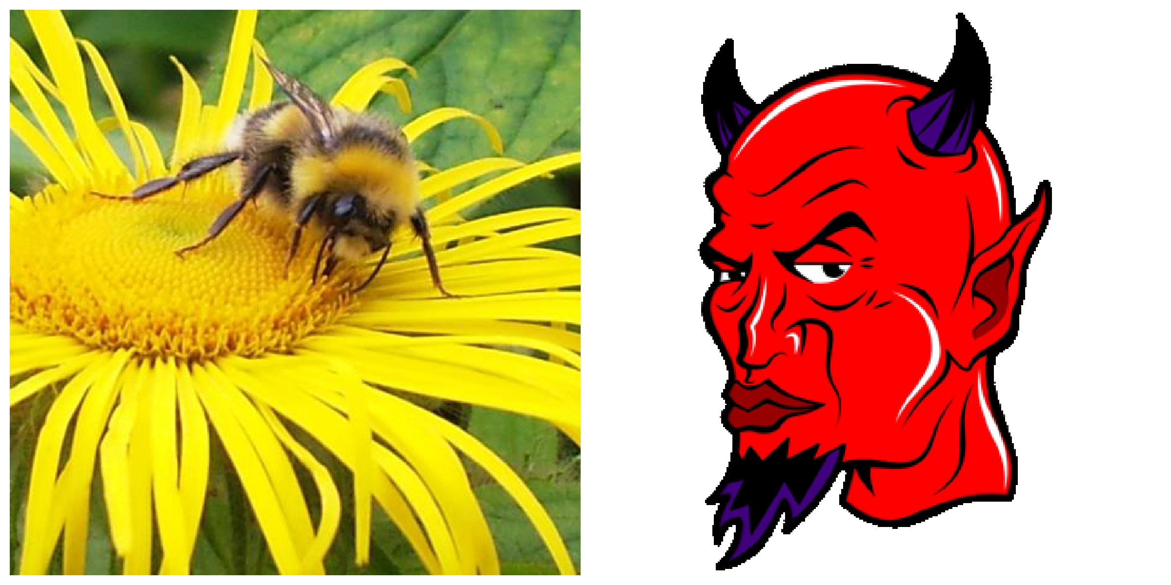 Pollen is the Devil